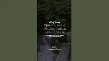 سورة الضحى..."🎧 #explore #foryou #اكسبلور #القرآن_الكريم #القران #القران_الكريم #الله #المنشاوي #fyp
