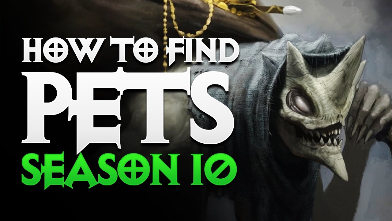 Diablo 3 - HOW TO FIND PETS IN SEASON 10 - MENAGERIST ...