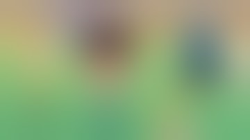 how bookies cheat:How we can win ZCode System