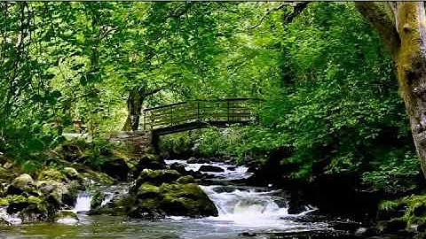سورة النساء بصوت عذب وجميل sorat al nsaa the holy quran beautiful voice