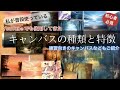 キャンバスの種類と特徴●練習向きキャンバスのご紹介も/下地の作り方/アクリル絵の具Types and characteristics of canvas / Acrylic