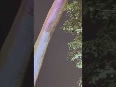 عنجد كانو موجدين عالارض 