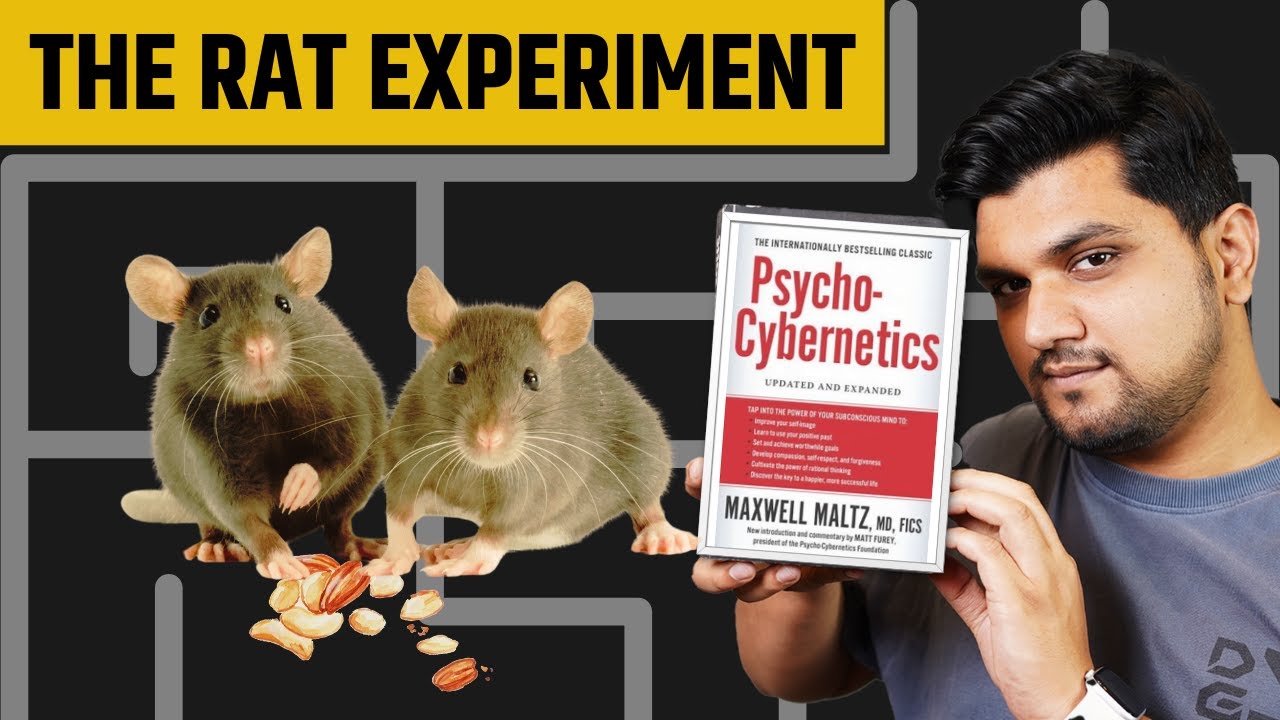 Hungry Rats Hungry Rat experiment | Who will Learn Better? | #shorts | #Seeken | # ...
