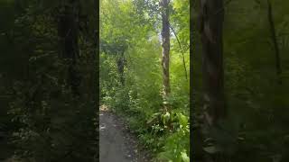 Walking Mud Lake Ottawa Peaceful Nature Escape
