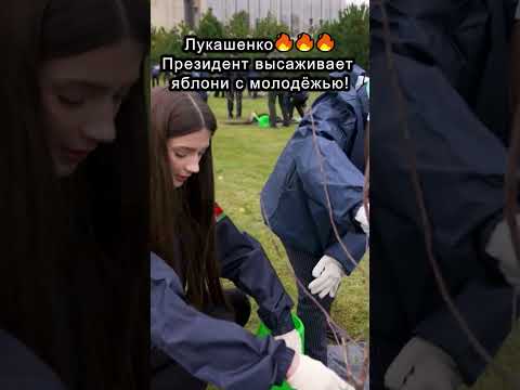 Лукашенко🔥🔥🔥 Президент ВЫСАЖИВАЕТ
