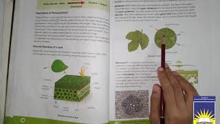 Class 6 science | week 1 day 2