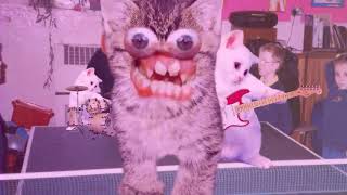 Kittens | Rathergood | Mclusky HD