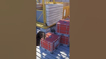 FoReal Bro? #epic #viral #counterstrike #counterstrike2 #cs2 #csgo #memes #funny #noob #vertigo #bro