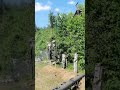 не нужный поворот #funny #music