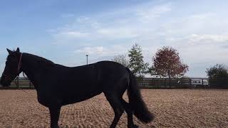 94Bc2803 32C8 4F10 A3D8 0127799Cd542