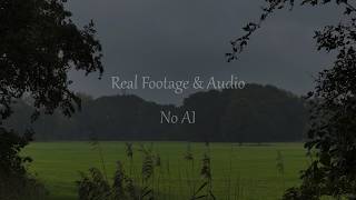 Windy Grey Day | Rustling Trees & Natural Wind Sounds | Real Field Recording | 3 HRS screenshot 5