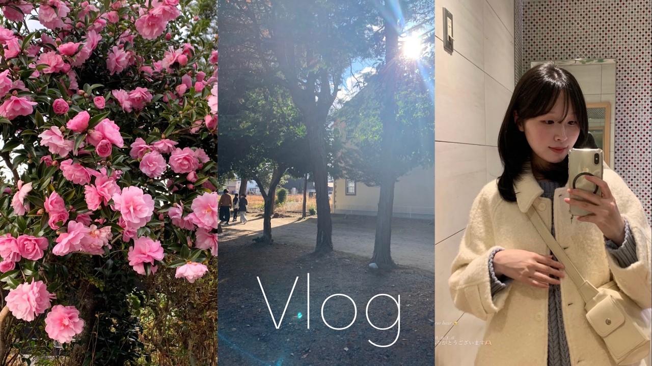 ［vlog｜브이로그］年末年始と冬の日常vlog❄️｜ゆったり過ごすお正月｜新しいお仕事のこと｜韓国語勉強📝｜