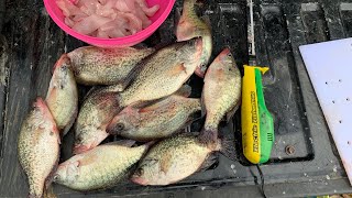 How to clean crappie Fast and Easy