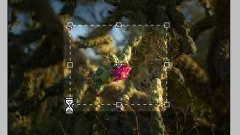 Crop Tool in Photoshop CS3