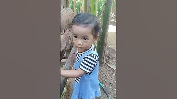 shaun the sheep #shorts #shaunthesheep #sheep