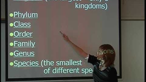 Biology - Classification (How it Relates to Biology)