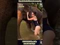 Adorable and Rare Animal Encounters You Have to See