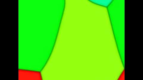 Grain Growth Simulation