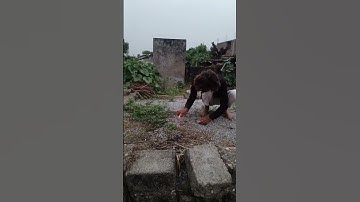 Amazing diwali Rocket Experiment #crakerstesting