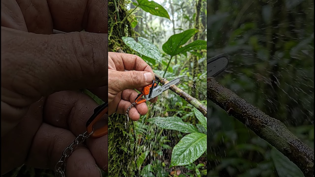 Keychain STIHL vs Small Forest Branch (Ultra Realistic)
