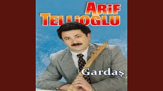 Bir Bağ Becerdim / El Aldı Gitti