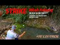 spot mancing sejuta umat pake umpan ini dijamin gacor strike babon seperti mbah kakung ini !