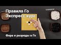 Фора и разряды в Го