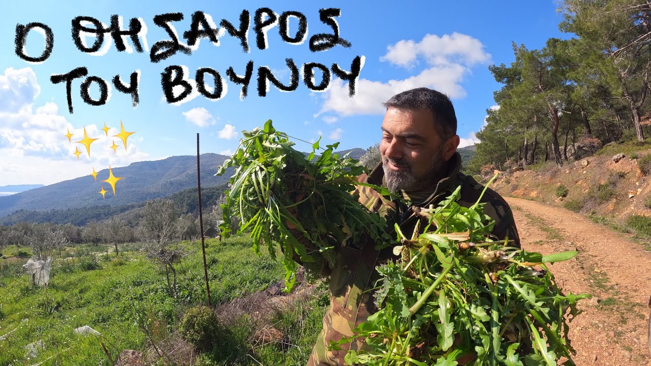 Πώς βγαίνουν τα άγρια χόρτα ; #Greece