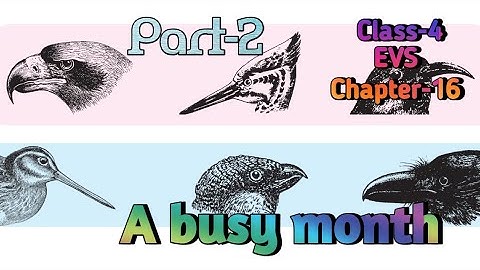 A Busy Month Class 4 Chapter‐16 EVS (Looking Around)(Part-2) with question answer @NCERTTHEMIND