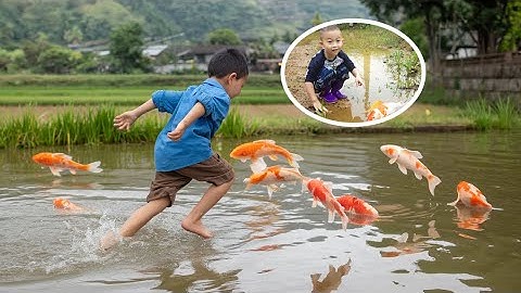 Em ổi đuổi bắt nhiều cá vàng ở cánh đồng ruộng #cávàng #bắtcávàng