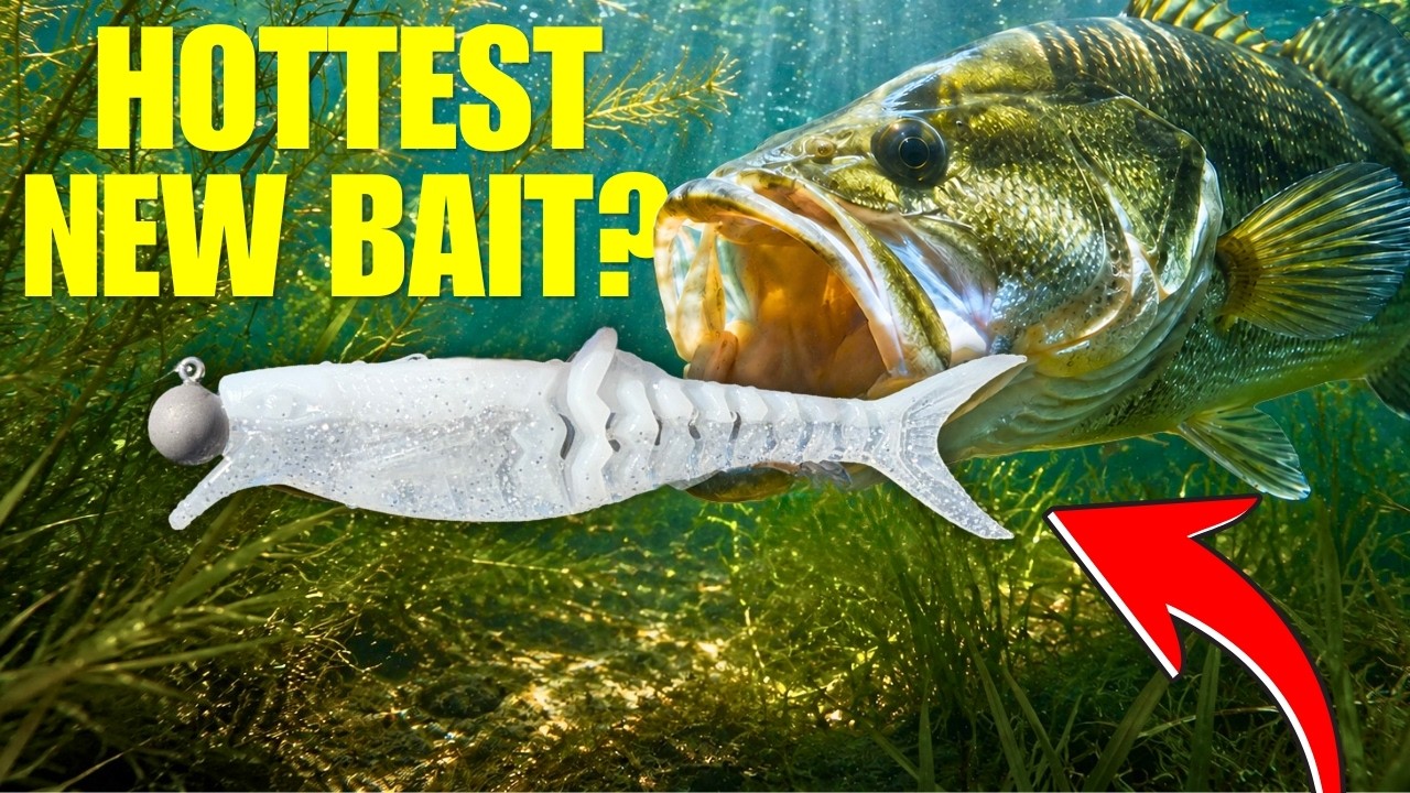 3 BEST Ways to Fish the New Rapala AVATAR Shad!