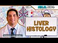 Gastrointestinal  liver histology