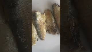 Canned sardines in veg oil 125 gram, litho can, ready-to-eat food, from Zhangzhou Songhuaxing foods