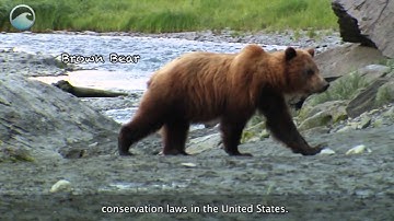 Endangered Species Day