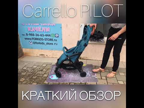 Прогулочная коляска Carrello Pilot обзор