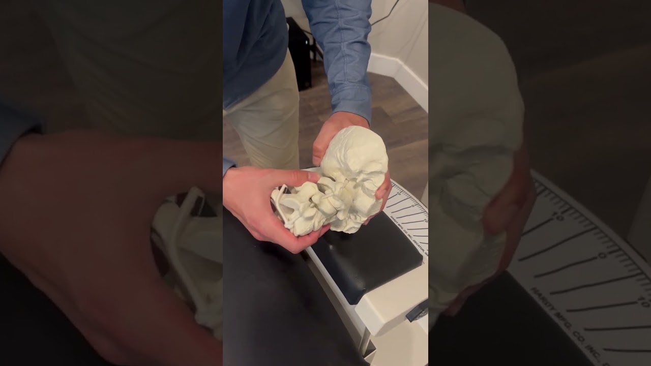 Atlas Orthogonal Model Demonstration