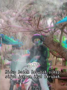 story vixion touring