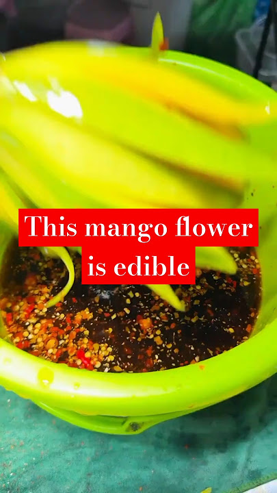 one of the processed mangoes, it looks so beautiful, but what about the taste?q