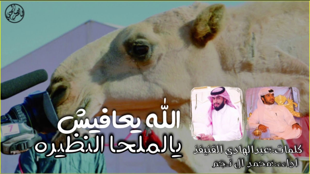 الله يعافيش يالـملحا النظيره - كلمات : عبدالهادي القنيفذ | اداء : محمد ال نجم 🔥🔥 .