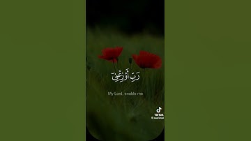 #سورة #النمل #اذكار #اكسبلور #دويتو #تاج_الذكر #تيك_توك #love