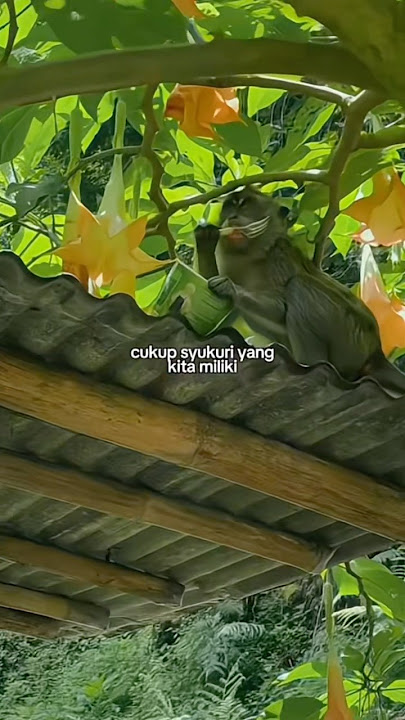 STORY HARI INI || KATA KATA VIRAL IISTORY WA 30 DETIK ||#quotes#katakatamotivasi#story30detik#fyp