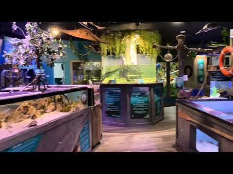 A quick tour through Mertailor’s Mermaid Aquarium Encounter