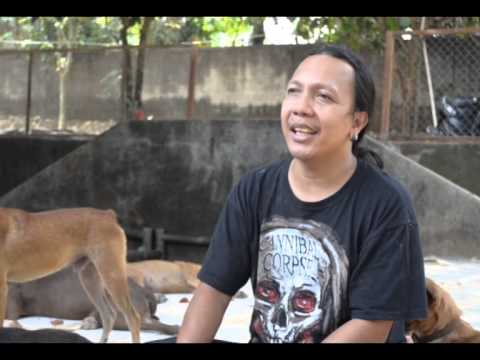 Komunitas Animal Defenders Indonesia YouTube Komunitas Animal Defenders Indonesia YouTube