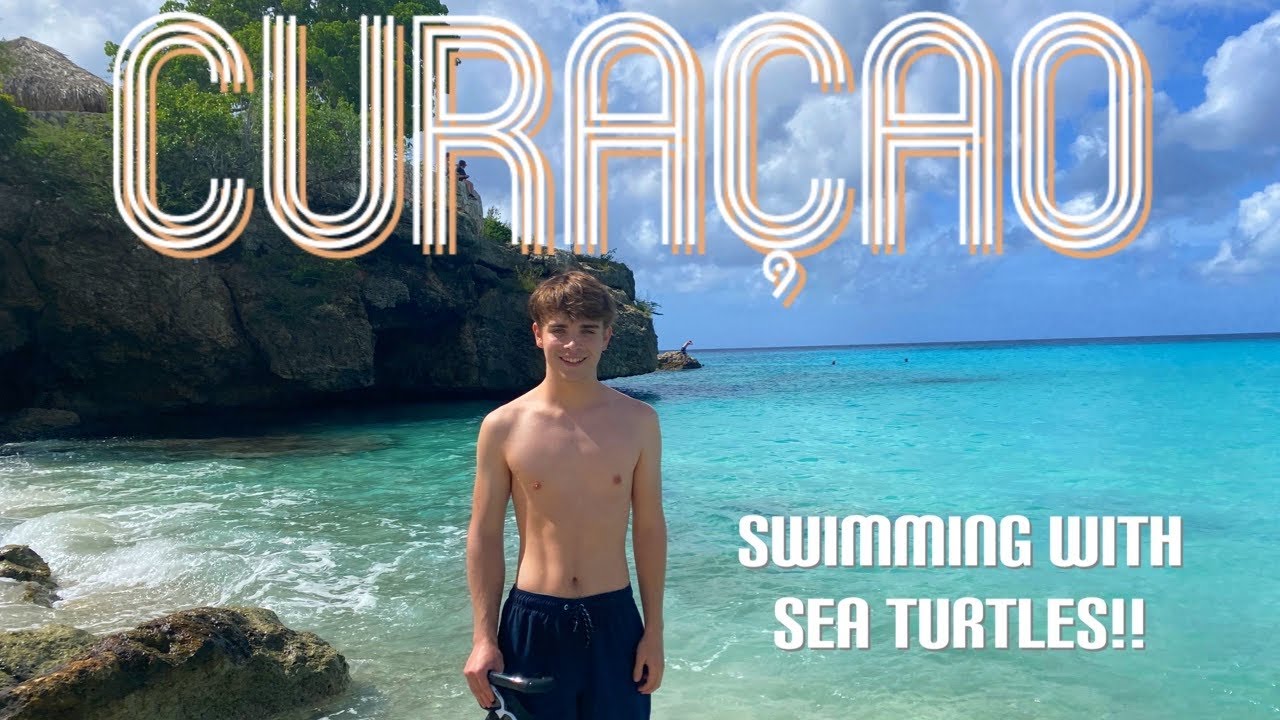 Paradise on earth, an average day in Curaçao! Swimming with sea turtles!