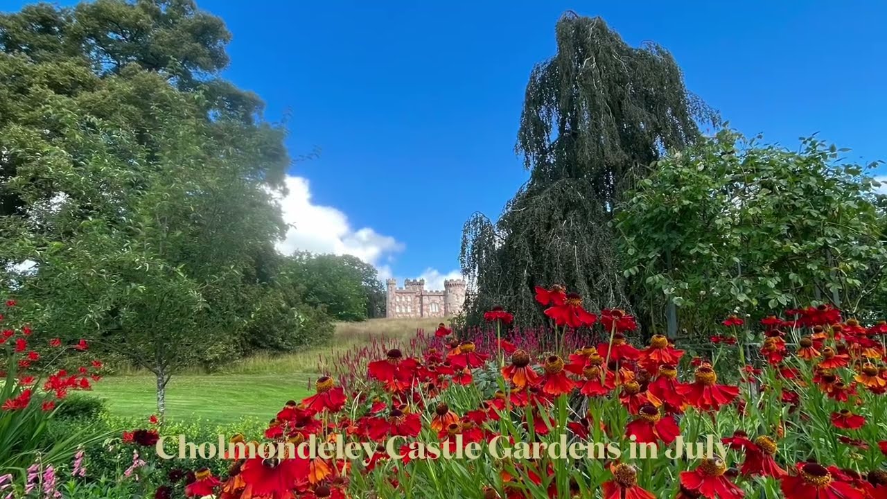 Cholmondeley Castle Gardens in July