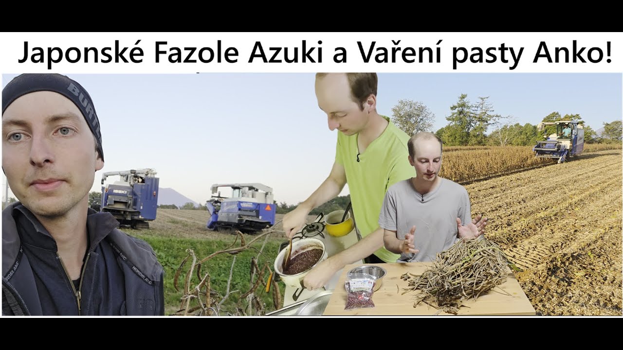 Tradiční Japonská Azuki Pasta, Anko