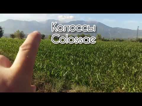 Video: Kus on Lycus Valley?