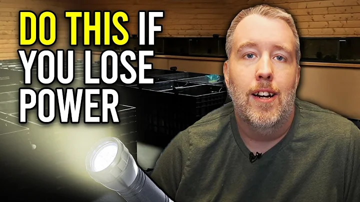 3 Things I Always Do When the Power Goes Out