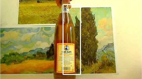 Dynamic Occlusion - Online Boosting Tracker