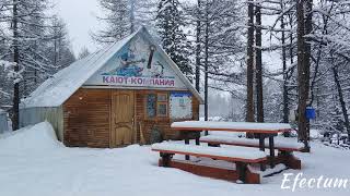 Падает мягкий пушистый снег! #altai #aktru #russia